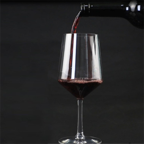 塑料高脚红酒杯 FRG-0014